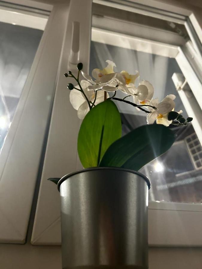 Lvm Apartments 자그레브 외부 사진